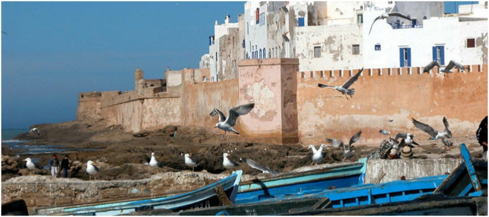 Excursion privada A Essaouira Desde Marrakech,excursion 1 dia Marrakech a Mogador