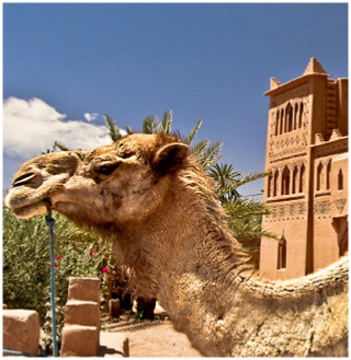 Ruta 4 dias desde Fes a Merzouga y Marrakech,excursion 4 dias a Erg CHebbi desde Fes y paseo en camello