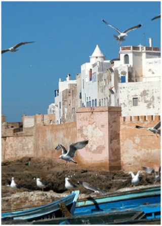 Excursion privada A Essaouira Desde Marrakech,excursion 1 dia Marrakech a Mogador