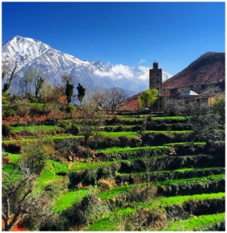 Excursión privada desde Marrakech al Atlas el valle de Ourika